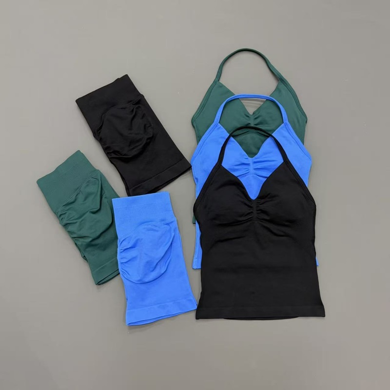 2 Piece Gym Set Women Seamless - Yoga Fitness Wear recensione e prezzo
