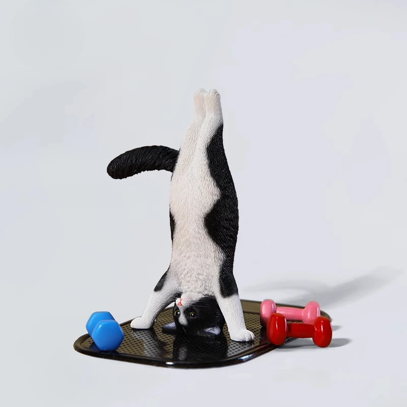 1/6 Yoga cat model simulation  - Yoga Fitness Model recensione e prezzo