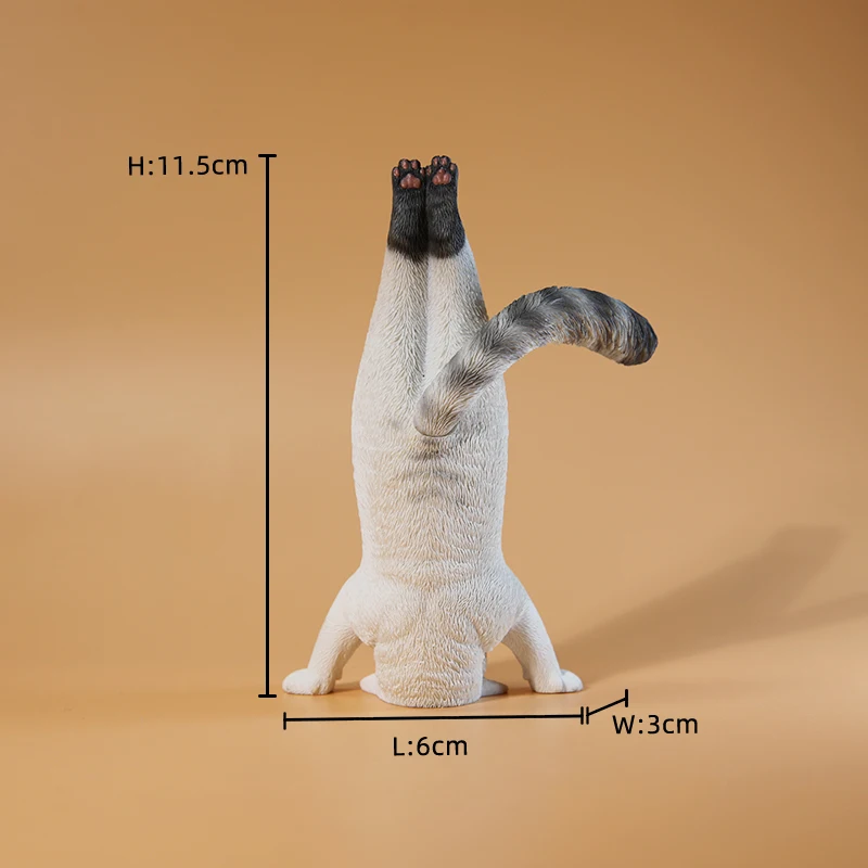 1/6 Yoga cat model simulation  - Yoga Fitness Model recensione e prezzo