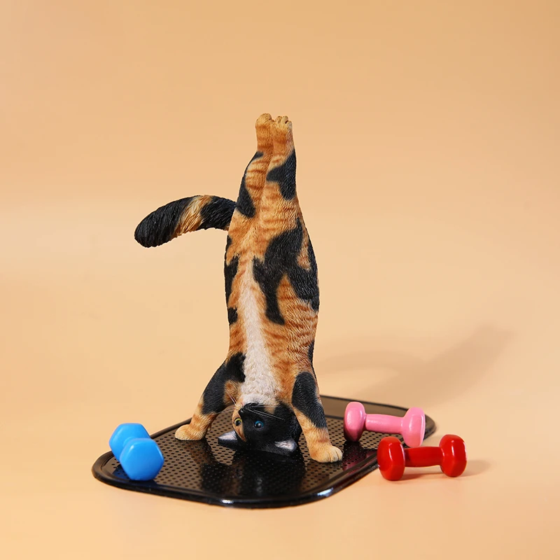 1/6 Yoga cat model simulation  - Yoga Fitness Model recensione e prezzo