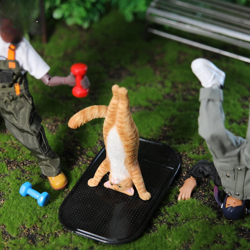 1/6 Yoga cat model simulation  - Yoga Fitness Model recensione e prezzo